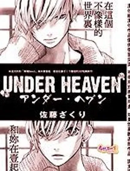 under heaven封面