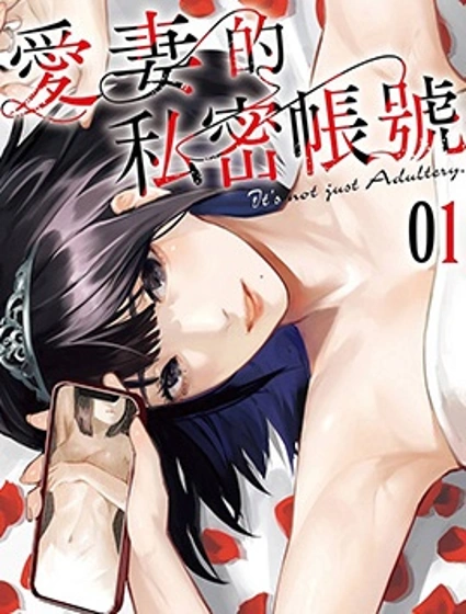 愛妻的私密帳號封面