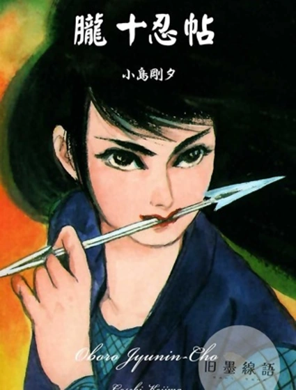 胧十忍帖封面