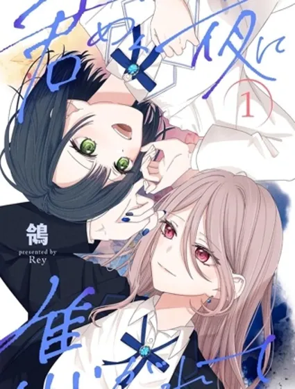 渴求有你闪耀的夜晚封面