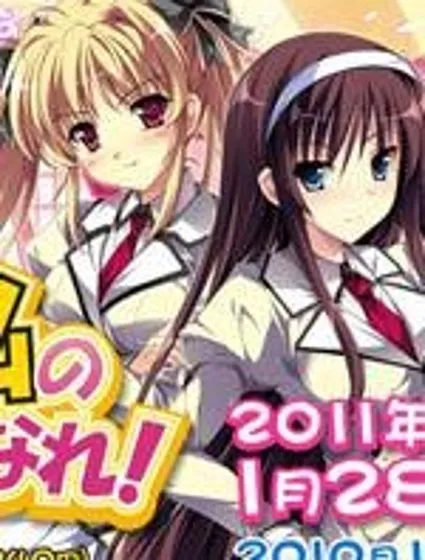 闭嘴 老老实实当我夫婿封面