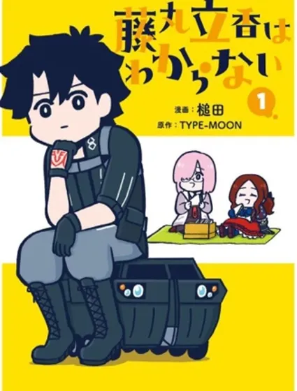 藤丸立香很懵逼封面