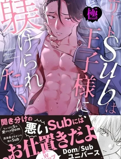 極品Sub想要被王子大人調教【極】封面