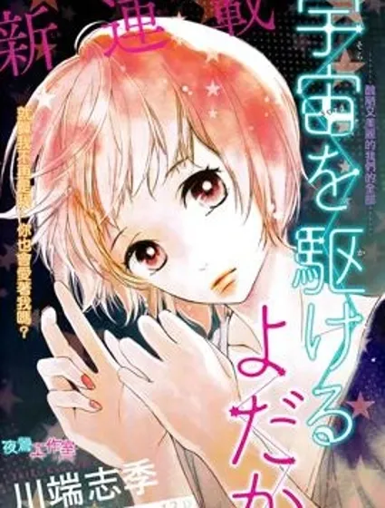 翱翔於天際的夜鷹封面