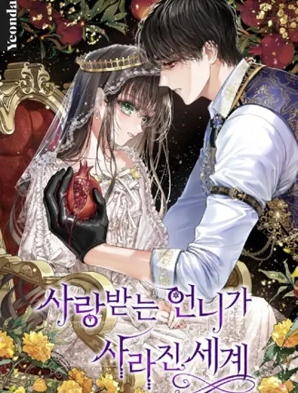 備受寵愛的姐姐消失的世界封面