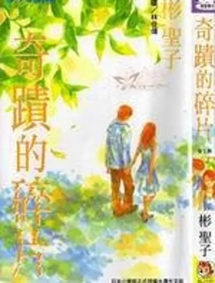 奇跡的碎片封面