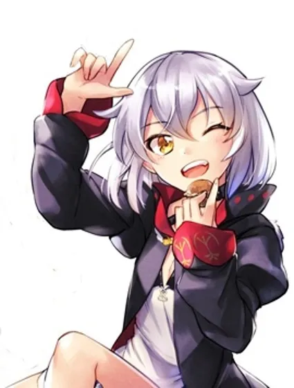 哥白尼革命的青春式应用封面