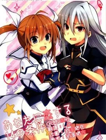 愛上你的14個條件封面