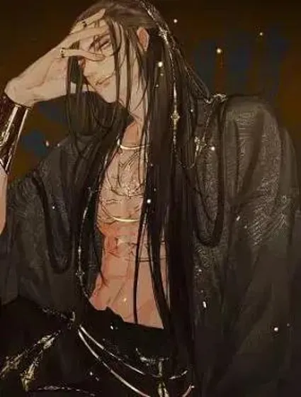 哑奴2：探花封面