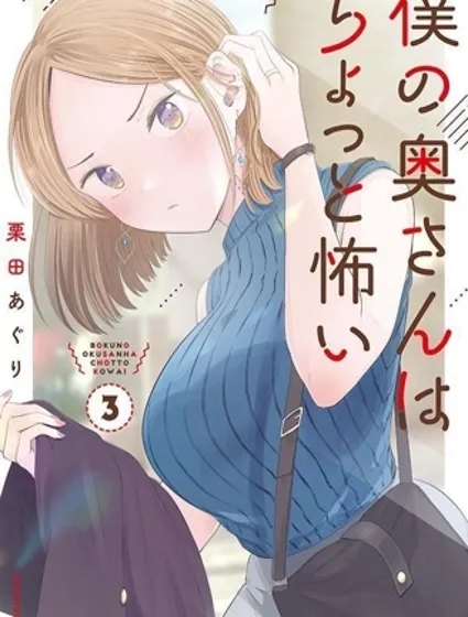 我的妻子有點可怕封面