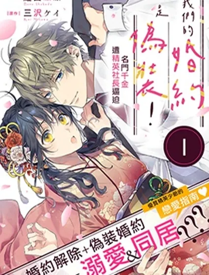 我们的婚约是伪装！封面