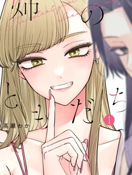 姐姐的朋友封面