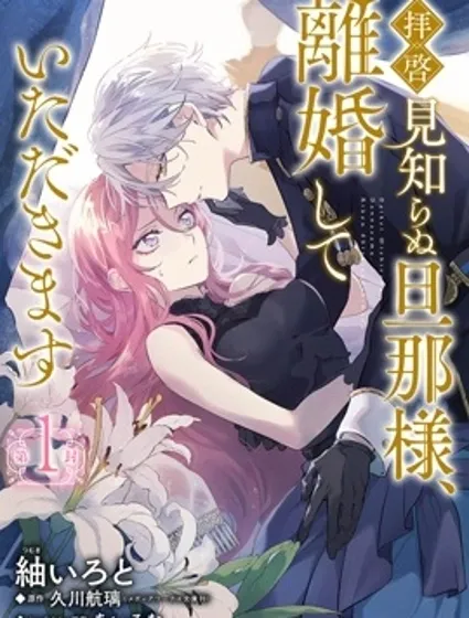 敬启者素未谋面的丈夫、请和我离婚封面