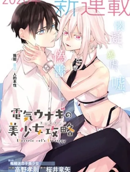 电鳗的美少女攻略封面