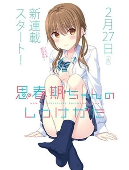 青春期小姐的養成方法封面