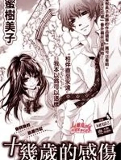 十幾歲的感傷封面