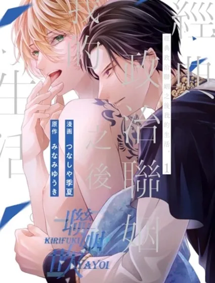 經典政治聯姻之後我的生活封面