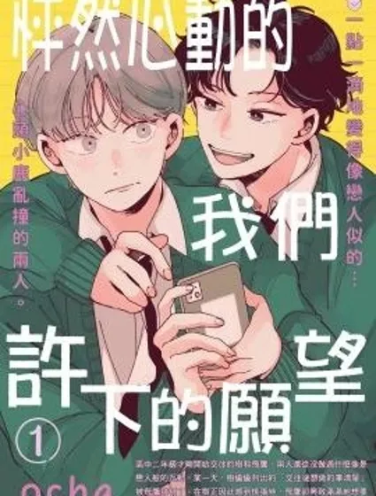 怦然心動的我們許下的願望封面