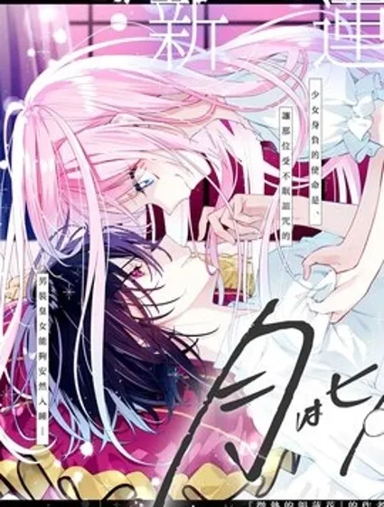 月不會數羊封面