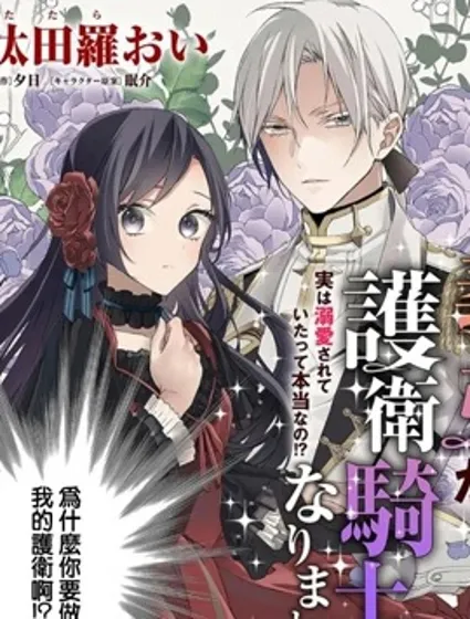 超级讨厌我的义弟成为了护卫骑士。封面