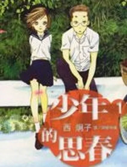 少年的思春封面