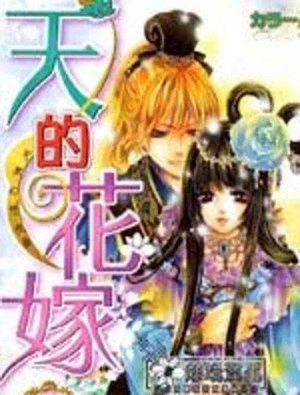 天之花嫁封面