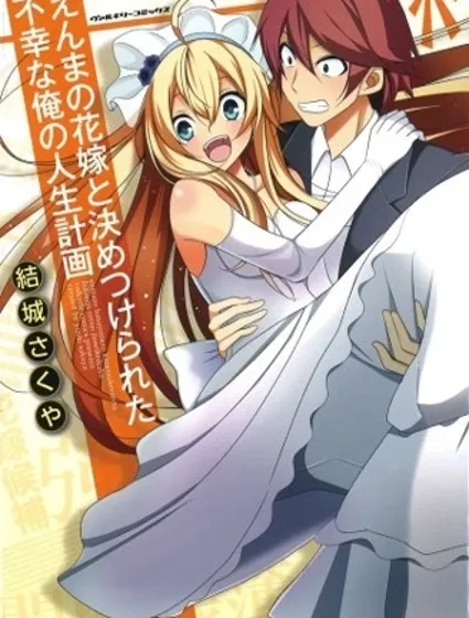 閻王的新娘封面