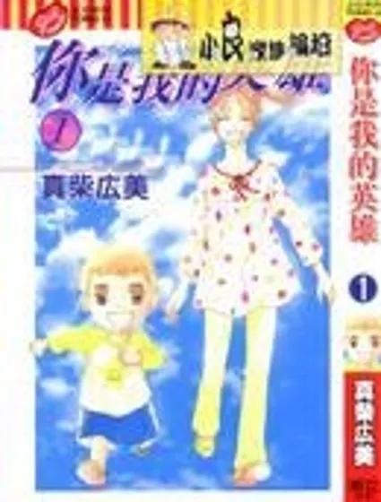 你是我的英雄封面