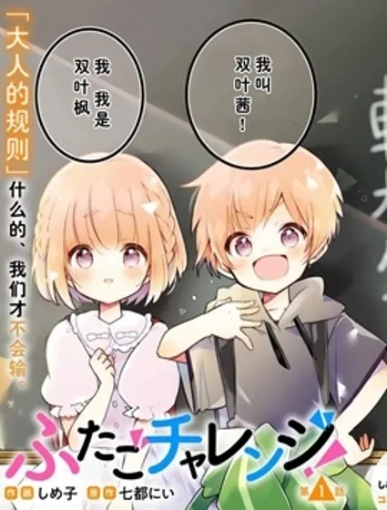 雙子挑戰封面