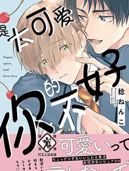 是太可愛的你不好封面