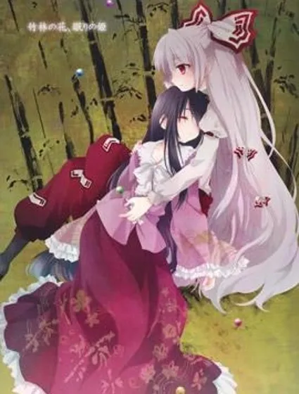 竹林之花，不眠之姬封面