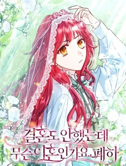 還沒結婚離什麼婚啊,陛下封面