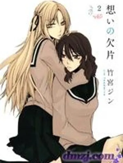 回憶的碎片封面