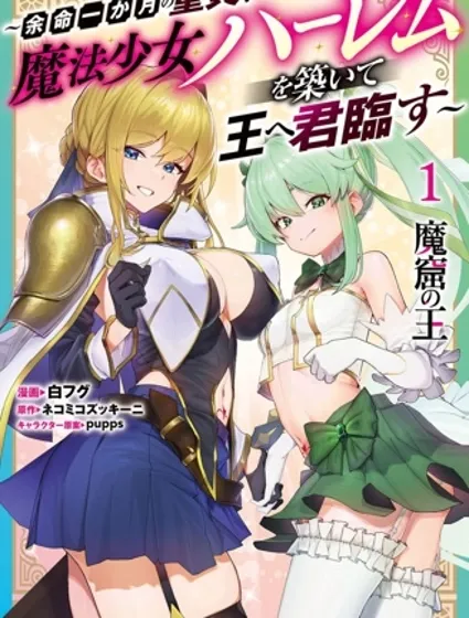 魔窟之王，余命一月的童貞，建立魔法少女後宮，君臨天下封面