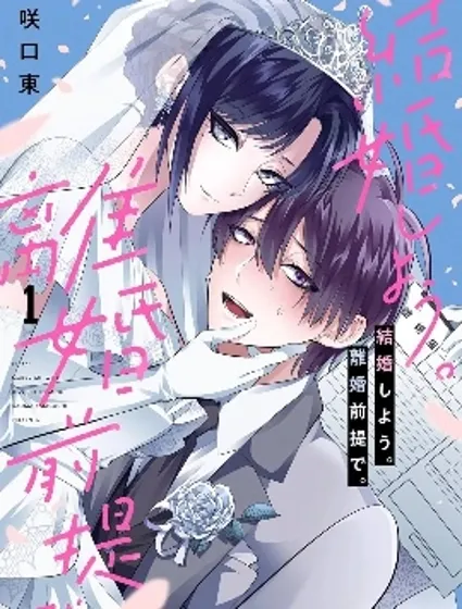 結婚吧。以離婚為前提。封面