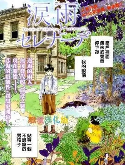 淚雨和小夜曲封面