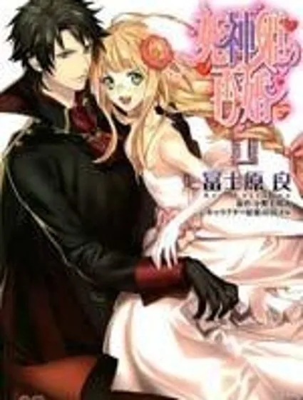 死神姬的再婚封面