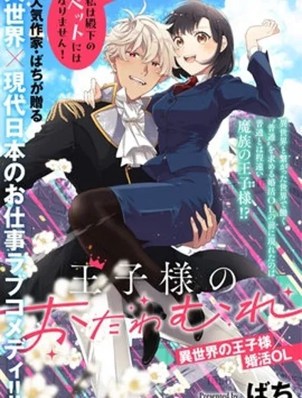 王子大人的遊戲封面