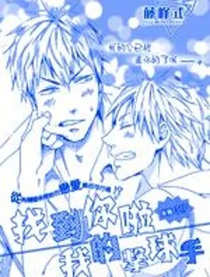 找到你啦我的擊球手封面