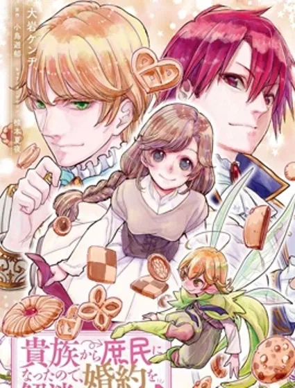 从贵族变成平民、还被解除婚约！封面
