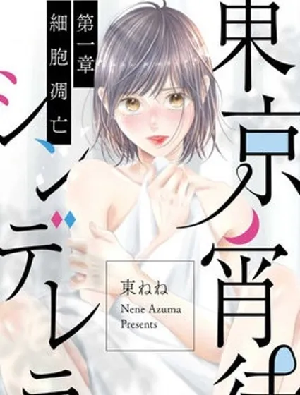 东京宵待辛德瑞拉封面