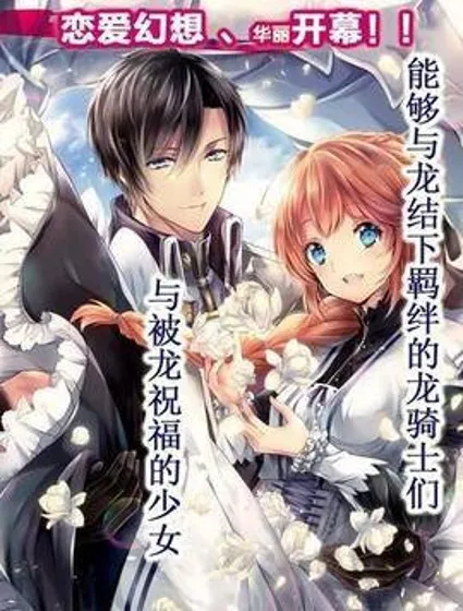 龙骑士的宠儿封面