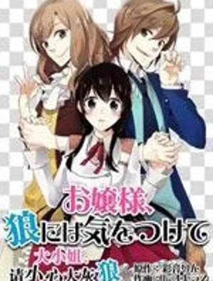 大小姐請小心大灰狼封面