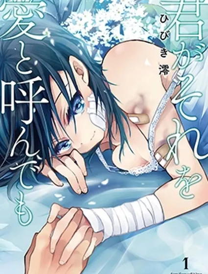 就算你把那叫做愛情封面