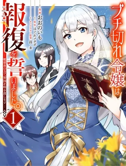 盛怒千金誓必復仇～用魔導書敲打王國～封面