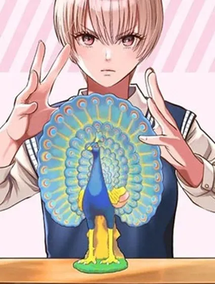 我只是在講孔雀的事封面