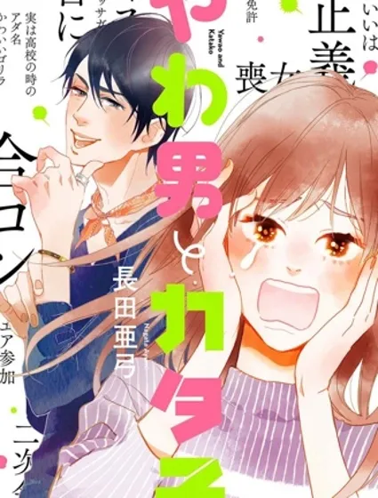 軟男與鐵妹子封面