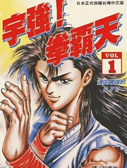 宇強!拳霸天封面