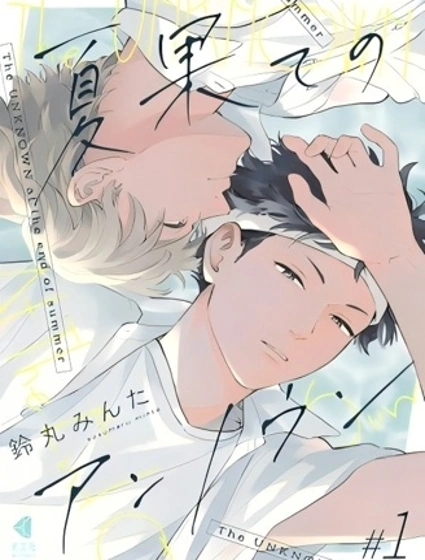 夏末的未知數封面