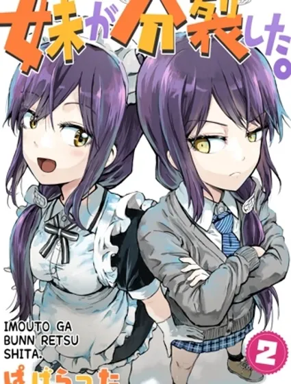 我的妹妹她分裂了封面